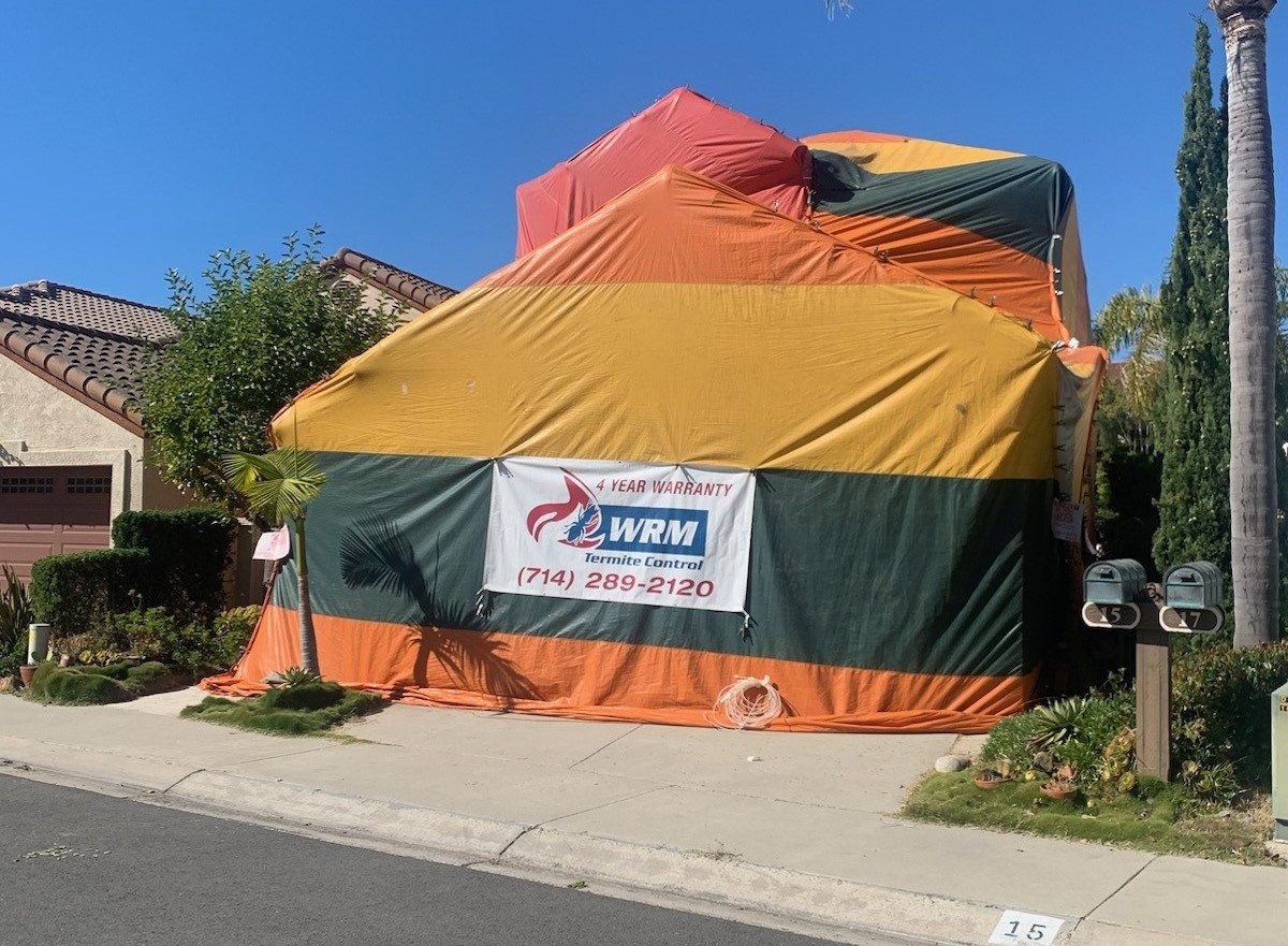 Tenting a house for termites
